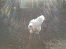 IMG10482