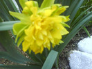 DSC01725