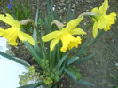 DSC01730