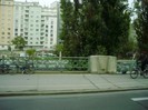 P7230256 - Copy