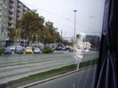 P7230270 - Copy