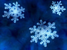 wallpaper_winter