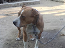 DSC01489