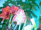 P1010891