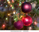 stock-photo-christmas-tree-decorations-on-a-christmas-fur-tree-18346069