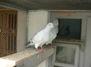 DSCN9534