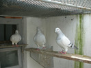 DSCN9535