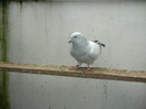 DSCN9538