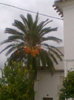 Imag058