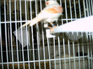 IMAG0169