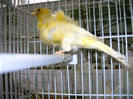 IMAG0171