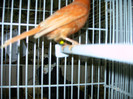 IMAG0172