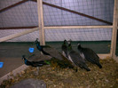 Copy of IMAG0158