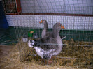 Copy of IMAG0159