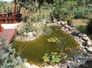 DSC00934