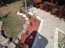 DSC00926