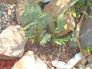 DSC00928