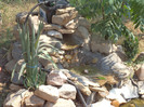DSC00929