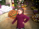 IMG01038-20111030-1249