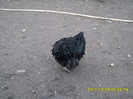 SAM_0889