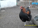 SAM_0941