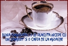 4acaf0e354f2362aa9e3e5d41f6e36c4