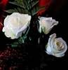 8-martie_0b64e9567420f3