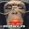 e-avatare_ro_9978
