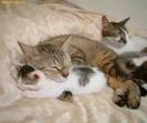 images (21)