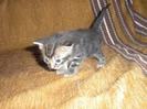 images (22)