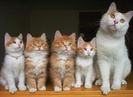 images (23)