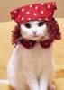 images (33)