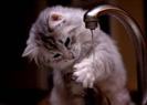 images (35)