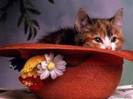 images (10)