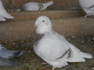 DSCN1310