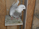 DSCN1320