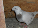 DSCN1327
