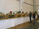 SDC12643