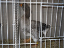 SDC12665
