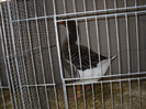 SDC12675