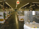 SDC12357