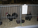 SDC12359