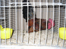 SDC12366
