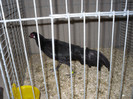 SDC12389