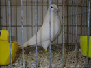 SDC12818
