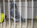 SDC12828