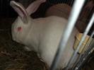 Picture 2926