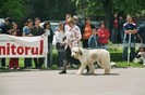 targoviste 2005 ge