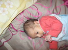IMG_0883