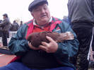 van ghele cu cel mai mare campion